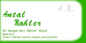 antal mahler business card